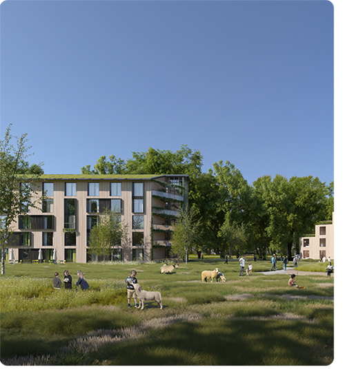 Yellow Dunes Project